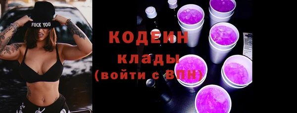 дживик Няндома