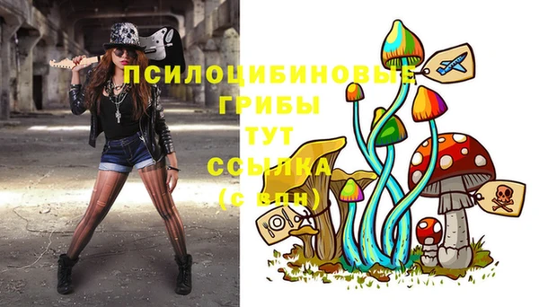 метадон Ладушкин