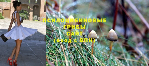 ешки Осташков