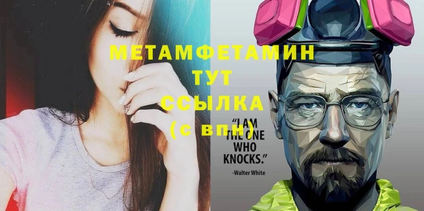 дживик Няндома