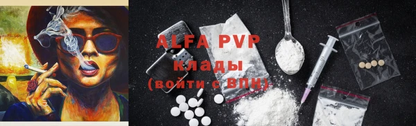 дживик Няндома