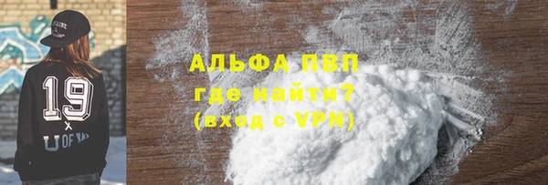 дживик Няндома