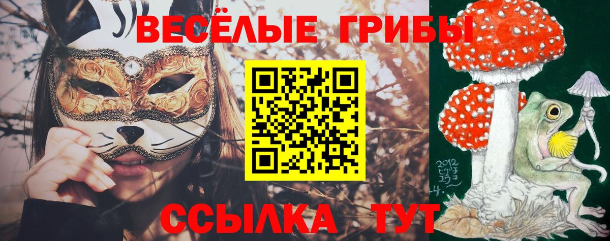 Кубинка  Псилоцибиновые грибы ЛСД  Вход с VPN 