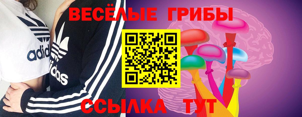 где купить наркотик  Кубинка  Галлюциногенные грибы Magic Shrooms 