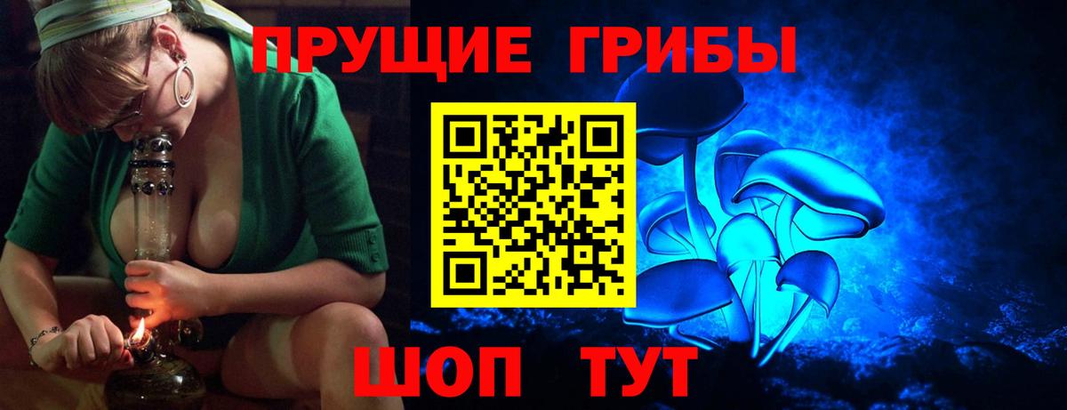 Псилоцибиновые грибы Psilocybine cubensis Кубинка